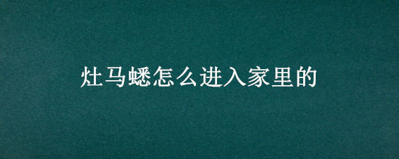 灶马蟋怎么进入家里的 灶马蟋从哪里进家里了