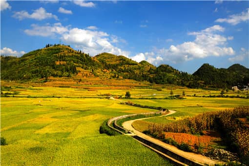 耕地地力保护补贴的申报流程是什么