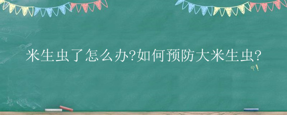 米生虫了怎么办?如何预防大米生虫? 米生虫该怎么办