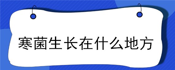 寒菌生长在什么地方（野生寒菌生长在什么地方）