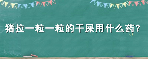 猪拉一粒一粒的干屎用什么药（猪拉一粒一粒的干屎用什么药采食量小）