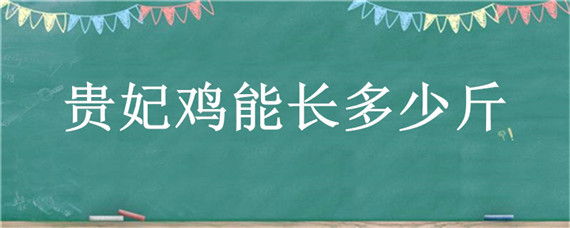 贵妃鸡能长多少斤（贵妃鸡长大有多重啊?）