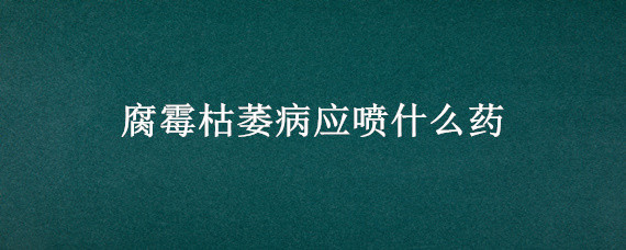 腐霉枯萎病应喷什么药 腐霉枯萎病发生的适宜条件