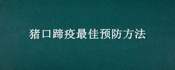 猪口蹄疫最佳预防方法 猪口蹄疫防治方法