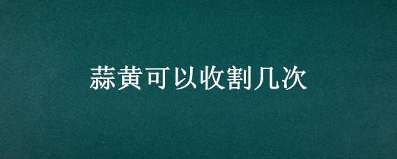 蒜黄可以收割几次（蒜黄多长时间收割）