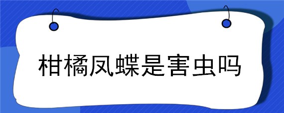 柑橘凤蝶是害虫吗 柑橘凤蝶危害类型