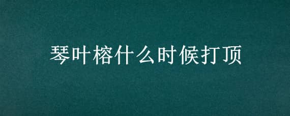 琴叶榕什么时候打顶（琴叶榕什么时候打顶好,打顶后为何不发侧牙）