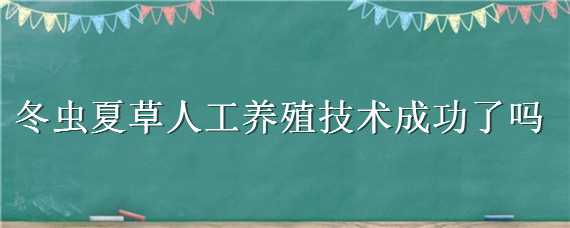 冬虫夏草人工养殖技术成功了吗 冬虫夏草人工养殖技术成功了吗知乎