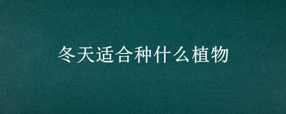 冬天适合种什么植物 冬天适合种什么植物种子