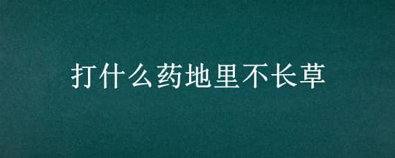 打什么药地里不长草（让地上不长草用什么农药）