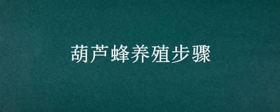 葫芦蜂养殖步骤 葫芦蜂的养殖方法