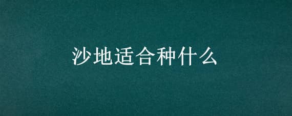 沙地适合种什么 沙地适合种什么树