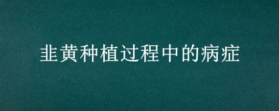 韭黄种植过程中的病症 韭黄种植过程中的病症有