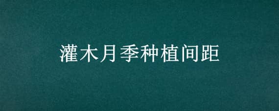 灌木月季种植间距 灌木月季种植间距要求