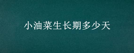 小油菜生长期多少天 小油菜生长期多少天能吃