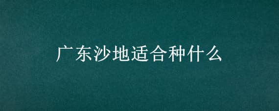 广东沙地适合种什么 广东沙地适合种什么蔬菜