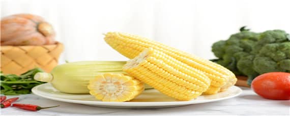 强硕88玉米品种介绍 强硕98玉米品种介绍