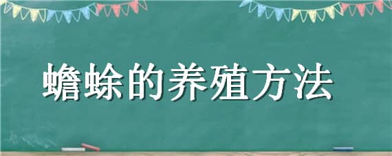 蟾蜍的养殖方法 蟾蜍的养殖方法视频