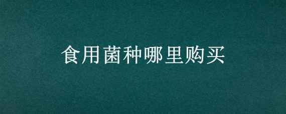 食用菌种哪里购买 食用菌菌种在哪里购买