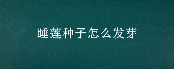 睡莲种子怎么发芽 睡莲种子怎样催芽