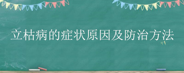 立枯病的症状原因及防治方法 水稻立枯病的症状原因及防治方法