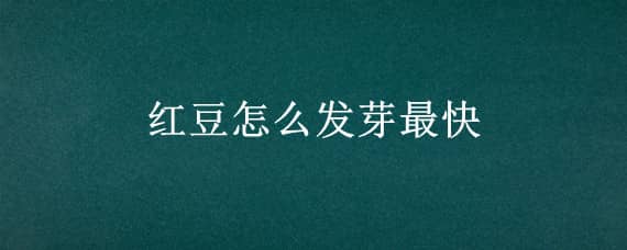 红豆怎么发芽最快 红豆怎么发芽最快速