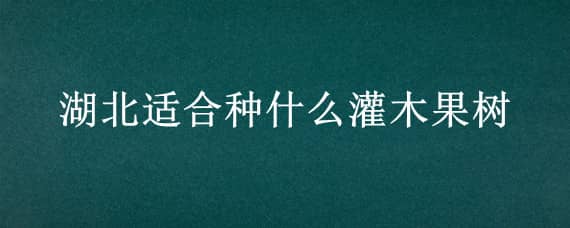 湖北适合种什么灌木果树（适合湖北种植的水果树有哪些）