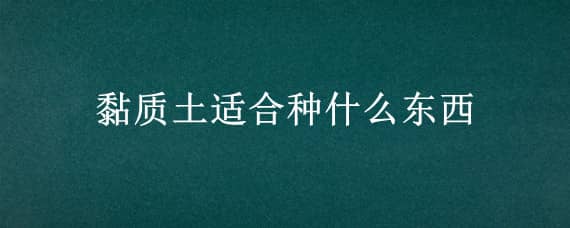 黏质土适合种什么东西（黏质土可以生长什么植物）