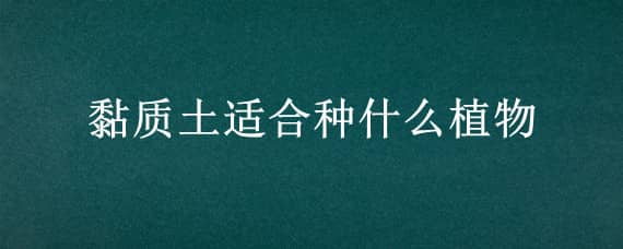 黏质土适合种什么植物（黏质土适合种什么植物 三年级）