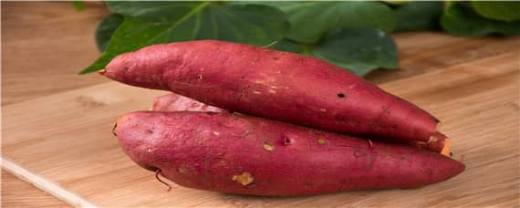 红薯种植起垄方式的原因（种植红薯为什么要起垄）