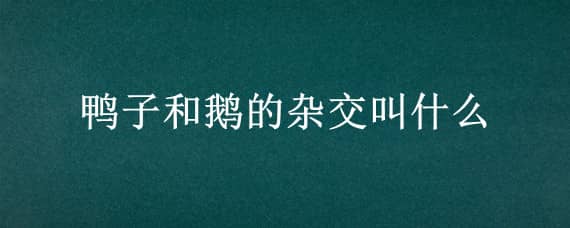 鸭子和鹅的杂交叫什么 鸭子和鹅的杂交叫什么名字