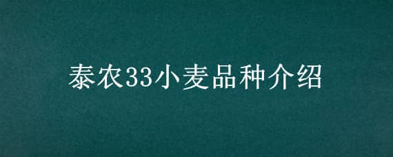 泰农33小麦品种介绍 泰农33小麦品种简介