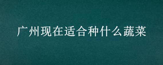 广州现在适合种什么蔬菜 广州现在适合种什么蔬菜水果