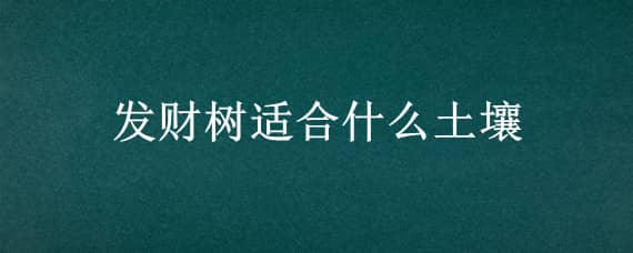 发财树适合什么土壤（发财树适合什么土壤种植）