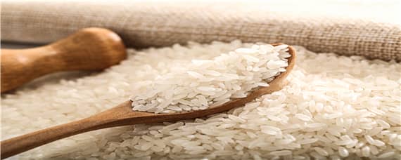 米的种植过程 米的种植过程简笔画图
