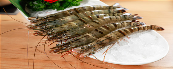 野生虾和养殖虾的区别（对虾养殖和野生的区别）
