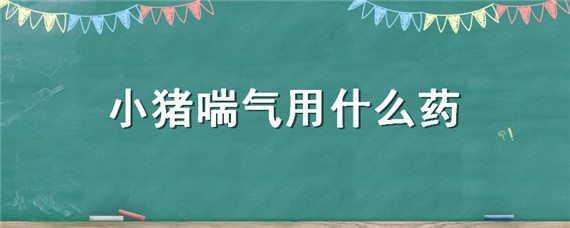 小猪喘气用什么药 小猪喘气用什么药拌料