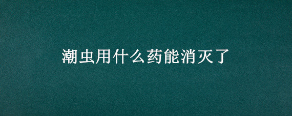 潮虫用什么药能消灭了（治潮虫用什么办法能把它给消灭掉）