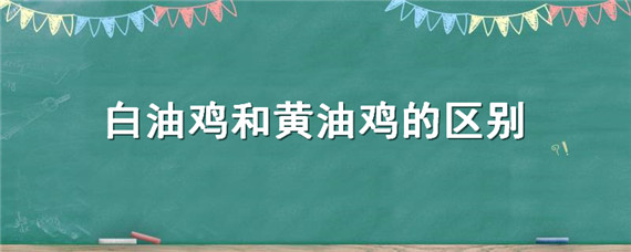 白油鸡和黄油鸡的区别 鸡油黄的好还是白的好