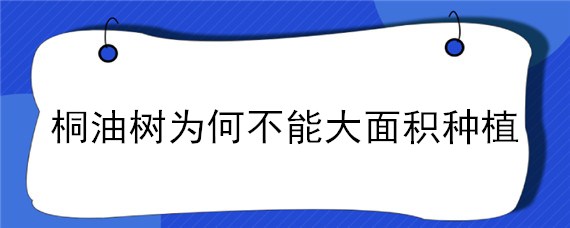 桐油树为何不能大面积种植（桐油树的种植技术）