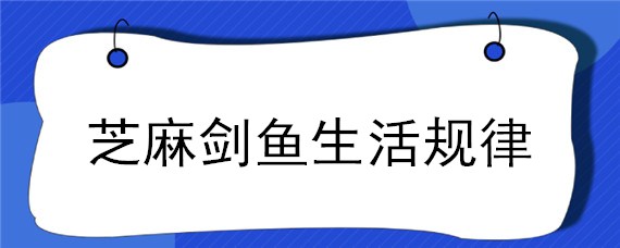 芝麻剑鱼生活规律 芝麻剑鱼是淡水鱼吗