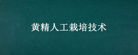 黄精人工栽培技术 黄精种植技术资料