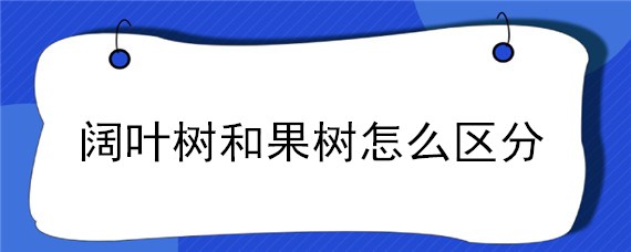 阔叶树和果树怎么区分（苹果树是阔叶树吗）