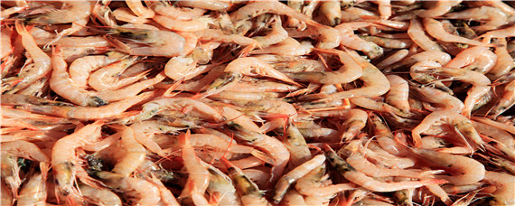 对虾工厂化养殖 对虾工厂化养殖设备清单