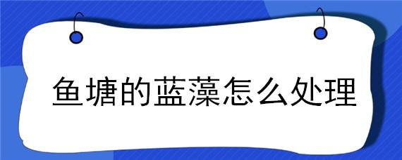 鱼塘的蓝藻怎么处理 鱼塘出现蓝藻怎么处理