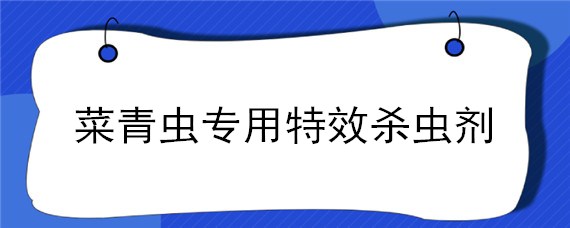 菜青虫专用特效杀虫剂 青菜虫用什么天然杀虫剂