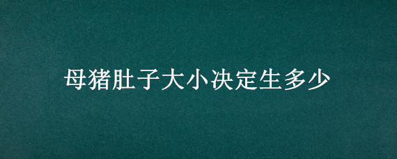 母猪肚子大小决定生多少 母猪多少天肚子大