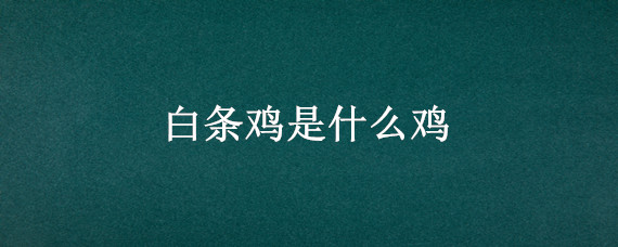 白条鸡是什么鸡（白条鸡是什么鸡?）