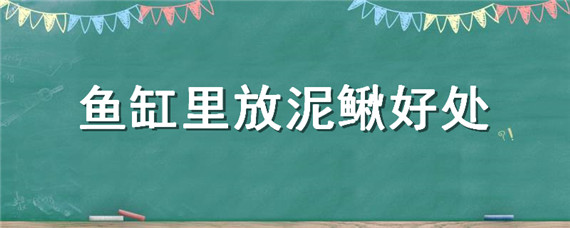 鱼缸里放泥鳅好处（泥鳅放鱼缸养要注意啥）