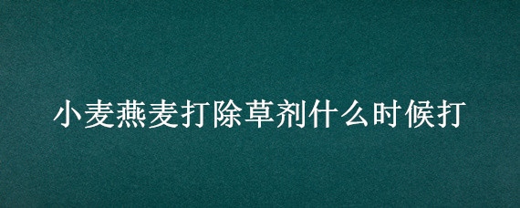 小麦燕麦打除草剂什么时候打 麦田燕麦什么时间打除草剂